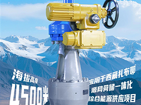 4500米！辉达娱乐閥門集團(tuán)服務(wù)全球海拔最高的光熱電站